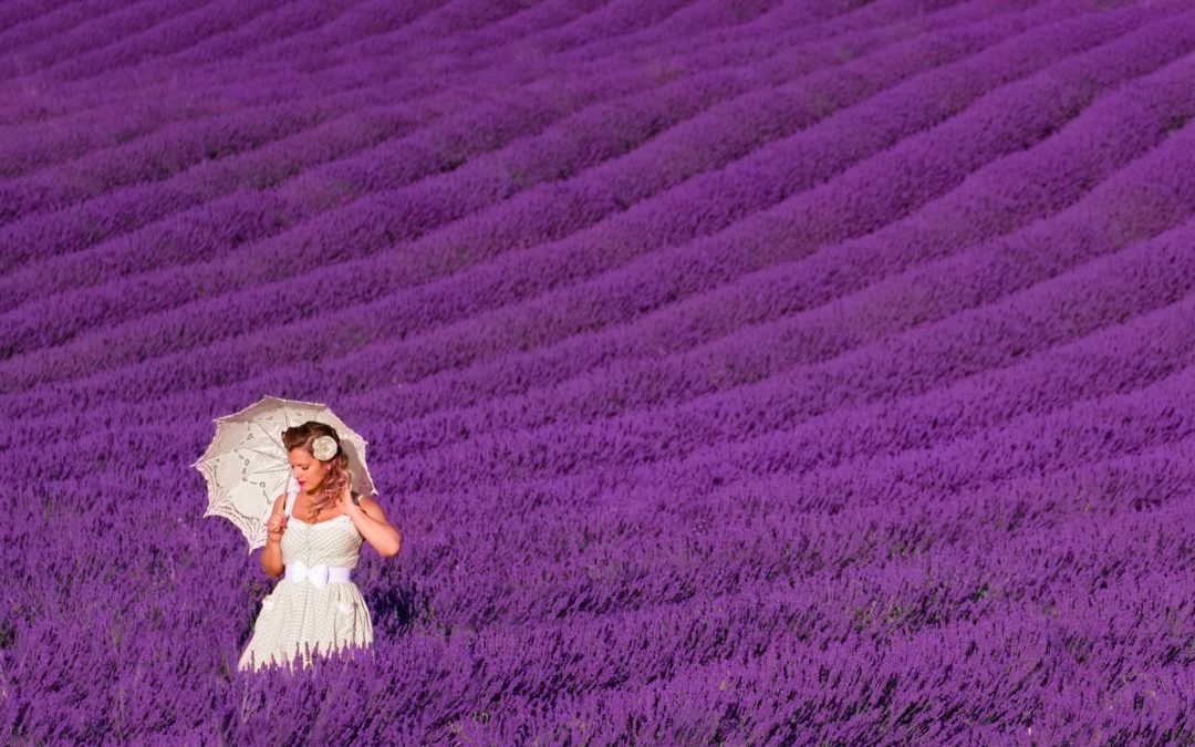The Lavender Fields of Provence – Origins in Antiquity