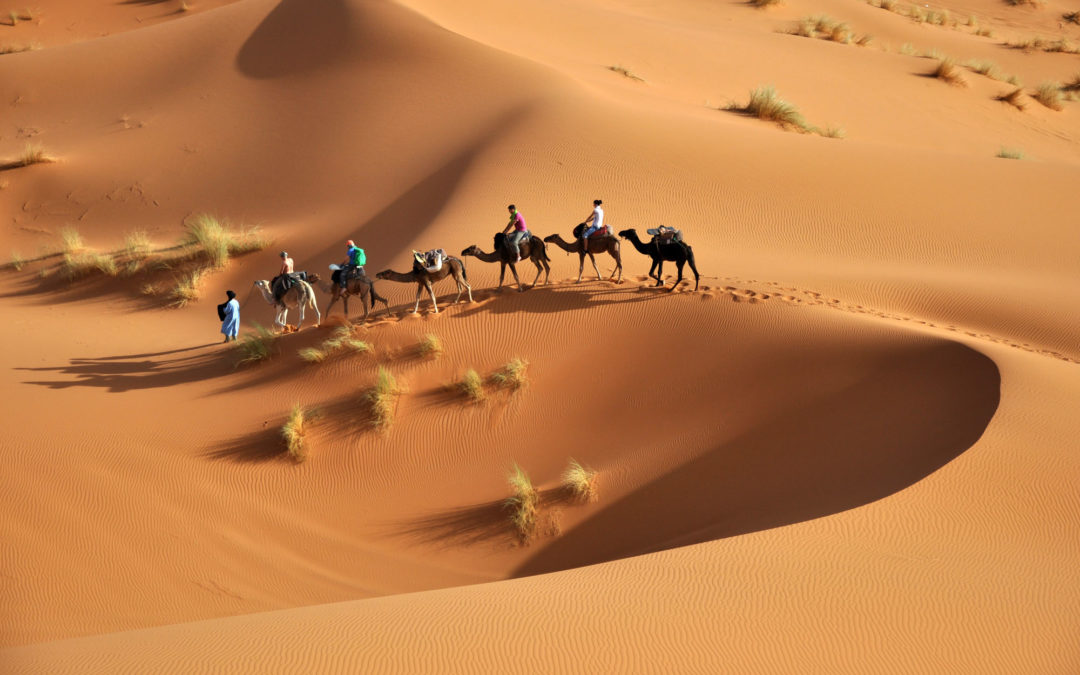 Sands of Light: Capture the Magic of the Sahara Desert