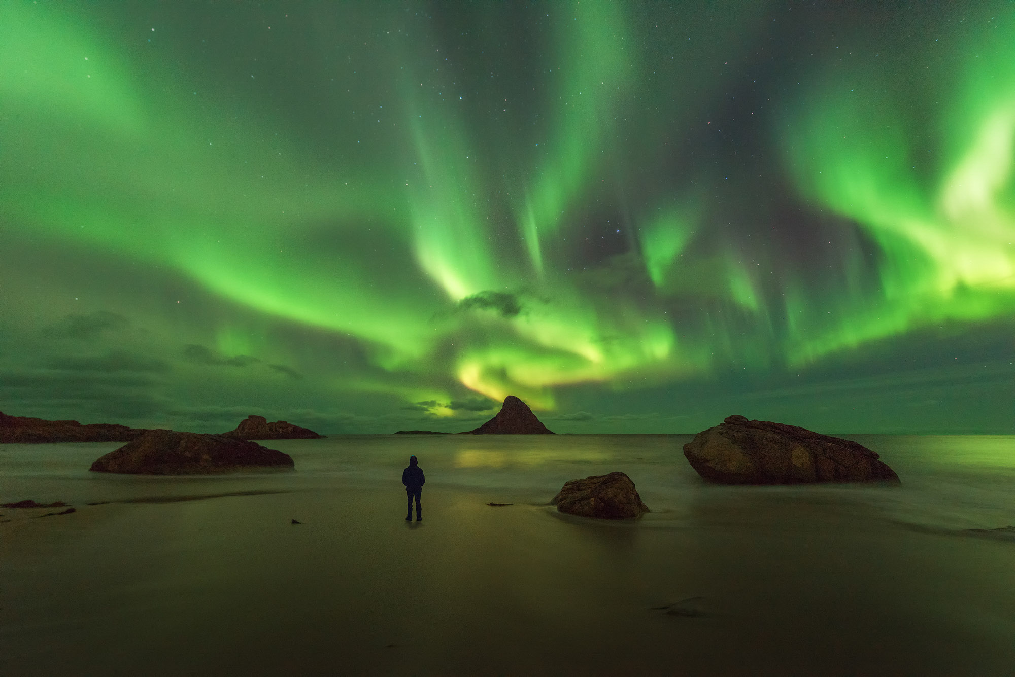 09 Photo Workshop Adventures Attilio Di Giangiacomo Norway Lofoten Autumn Landscape, Sheep, Shepard Dog
