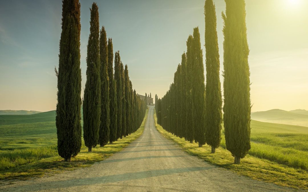 Why This September Is Your Moment to Capture Tuscany’s Magic