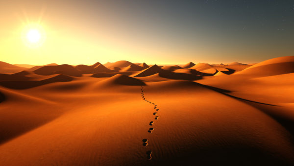Footprints On The Sand Dunes