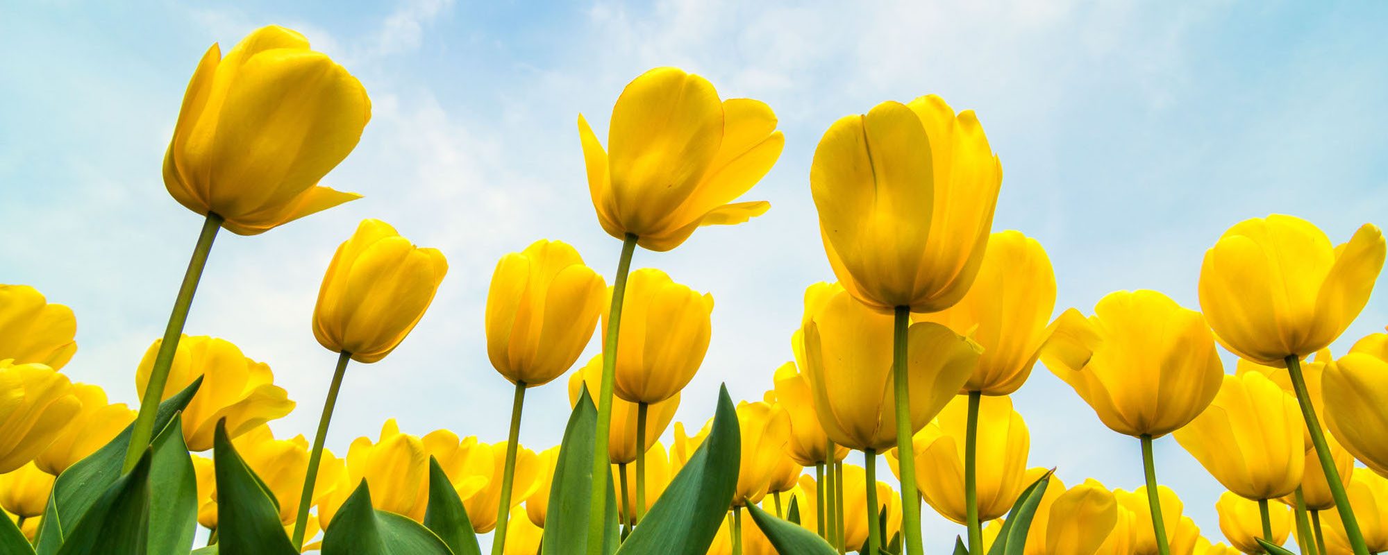 17a7618e Cc4c 49d4 84a5 F7bc75ba3c9f