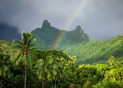 Rainbow On Moorea Island Jungle And Mountains Landscape
