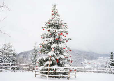 Christmas Tree Outdoors/tall Christmas Fir Tree Decorated With R