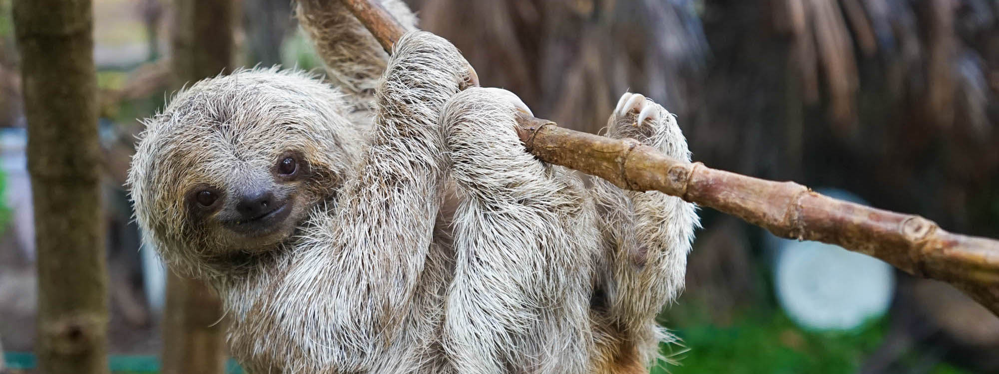 COSTA RICA - Photo Workshop Adventures