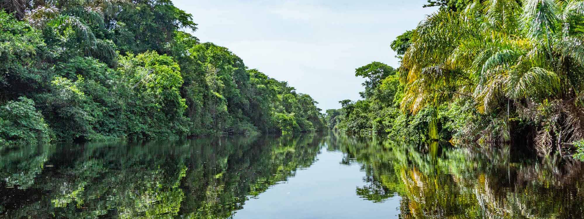 Tortuguero Canals