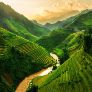 Terraced Rice Field In Mu Cang Chai, Vietnam
