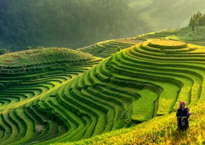 Mu Cang Chai, Vietnam Landscape Terraced Rice Field Near Sapa. M