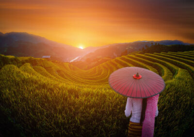 Woman Holding Traditional Red Umbrella On Rice Fields Terraced W