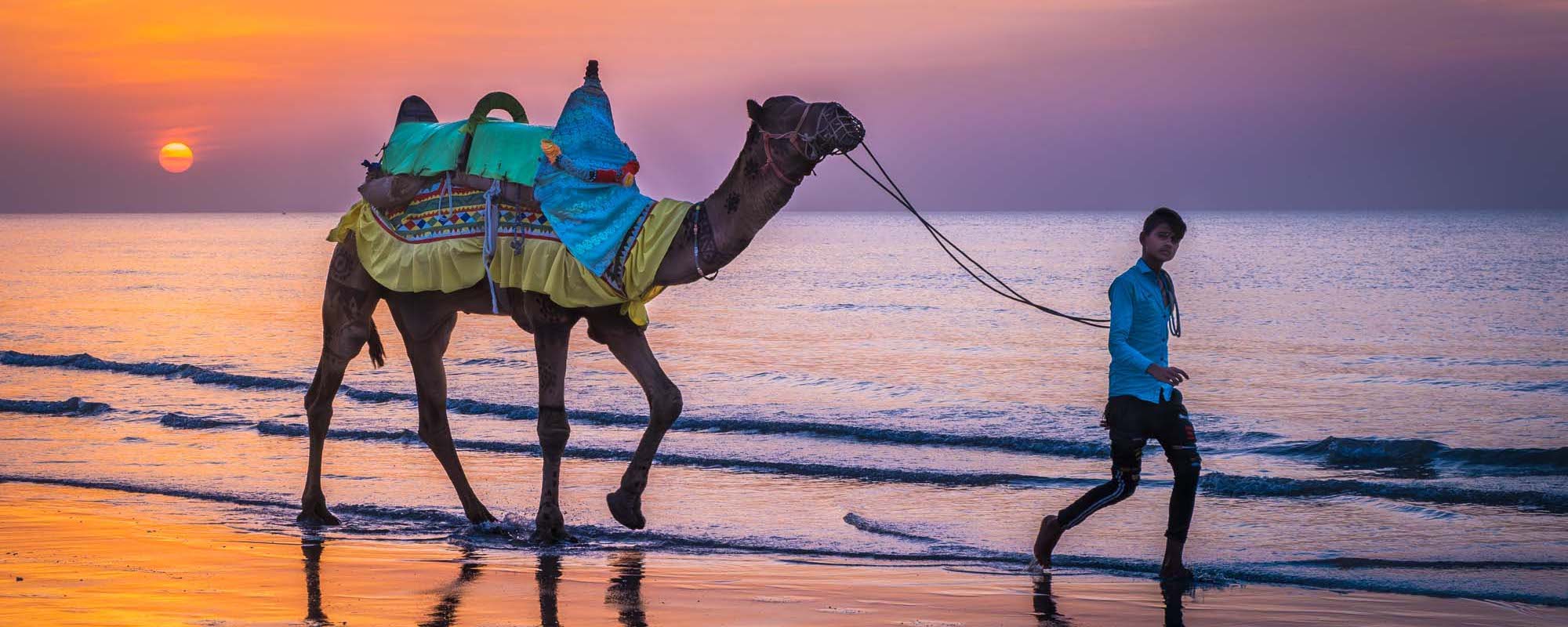 102 Photo Workshop Adventures Michael Chinnici Gujarat India Pano Rev