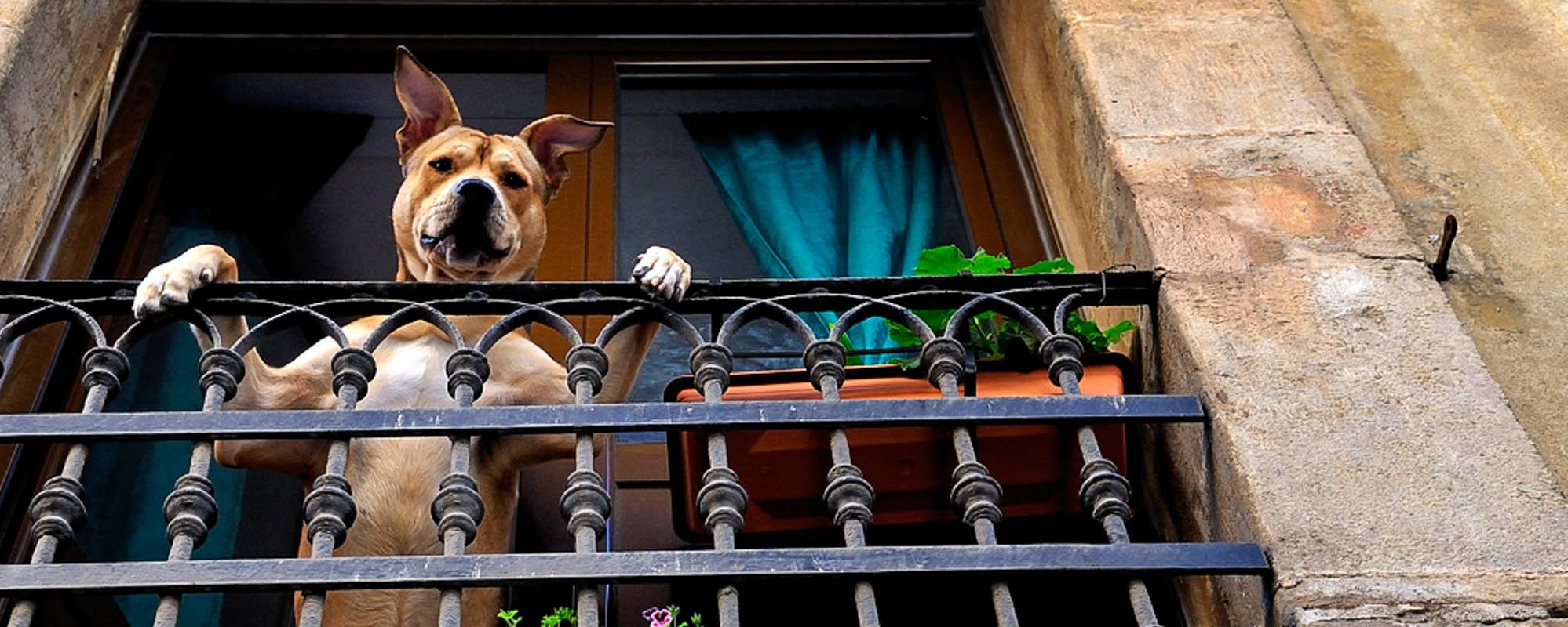 54 Photo Workshop Adventures Spain Barcelona Laurie Cohen