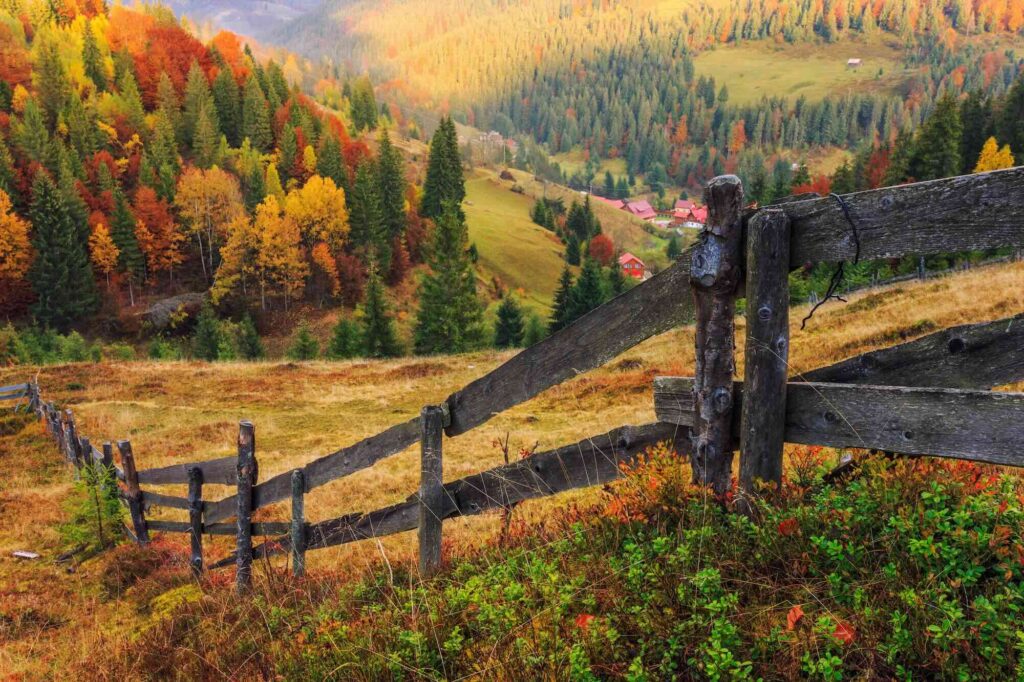 Colorful Autumn Landscape Scene With Fence In Transylvania