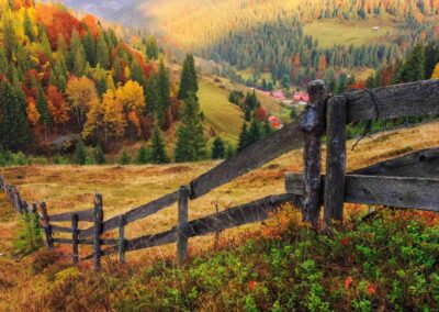 Colorful Autumn Landscape Scene With Fence In Transylvania