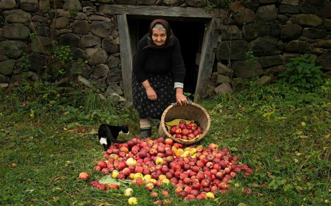Last Call: Discover the Undiscovered Beauty of Romania (Oct 6-16, 2026) – Only 1 Spot Left!