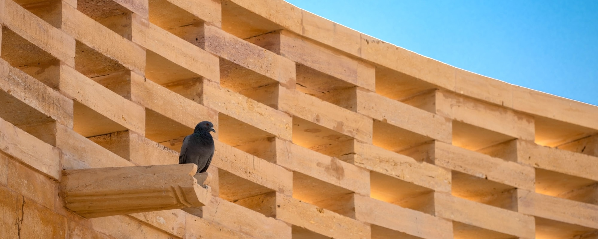 92 Photo Workshop Adventures Michael Chinnici Rajasthan India A202211