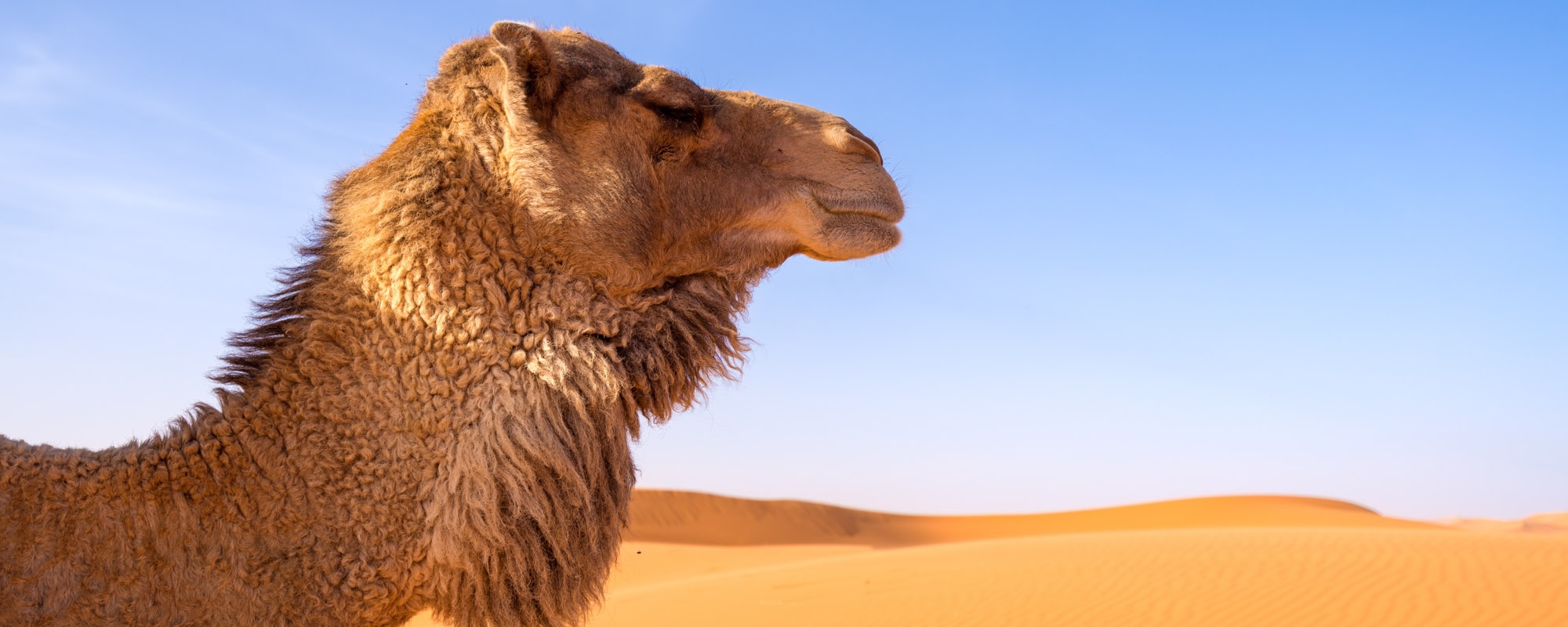 42 Photo Workshop Adventures Morocco Desert