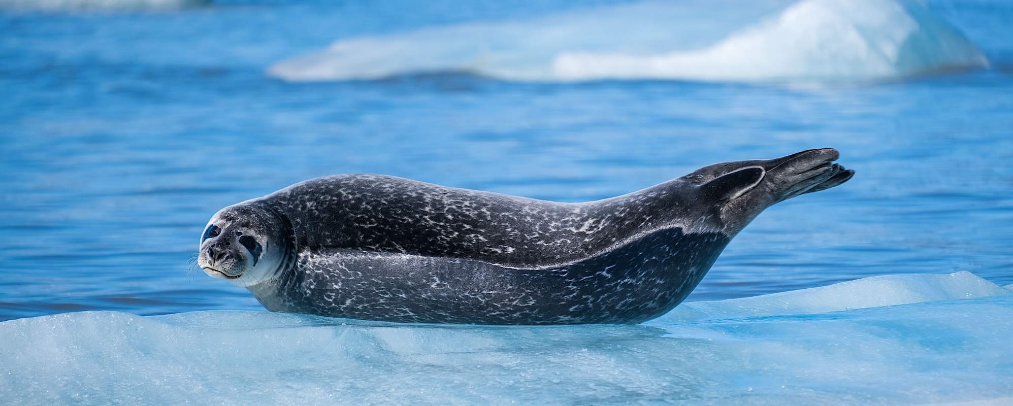 32 Photo Workshop Adventures Michael Chinnici Iceland 22