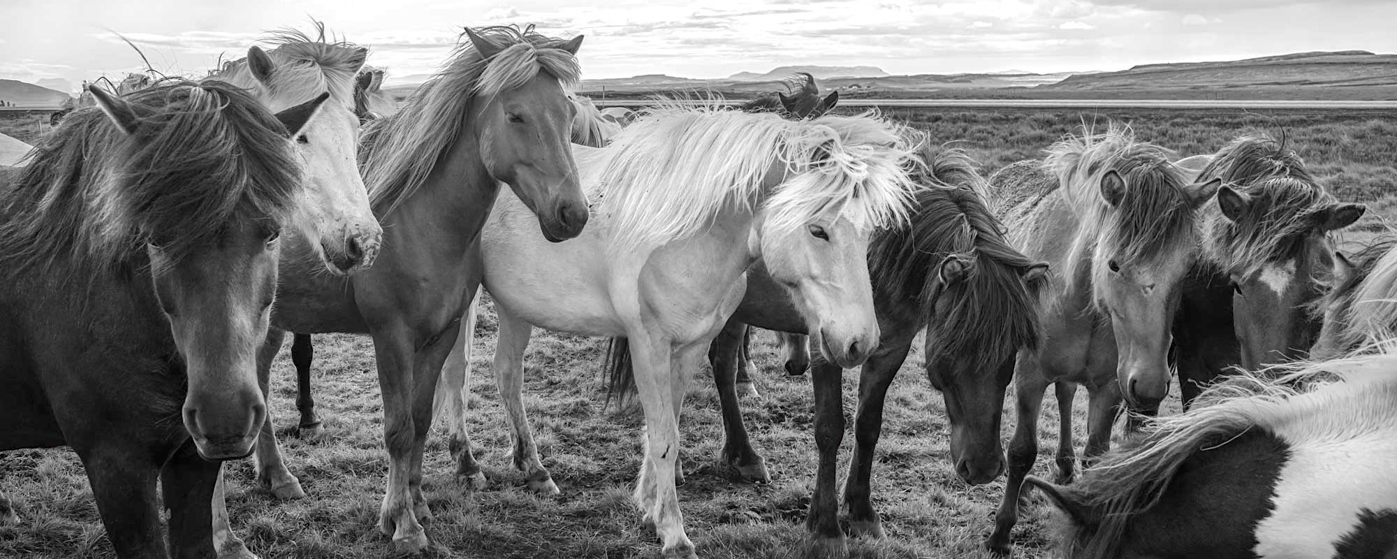 36 Photo Workshop Adventures Michael Chinnici Iceland 13 Pano R