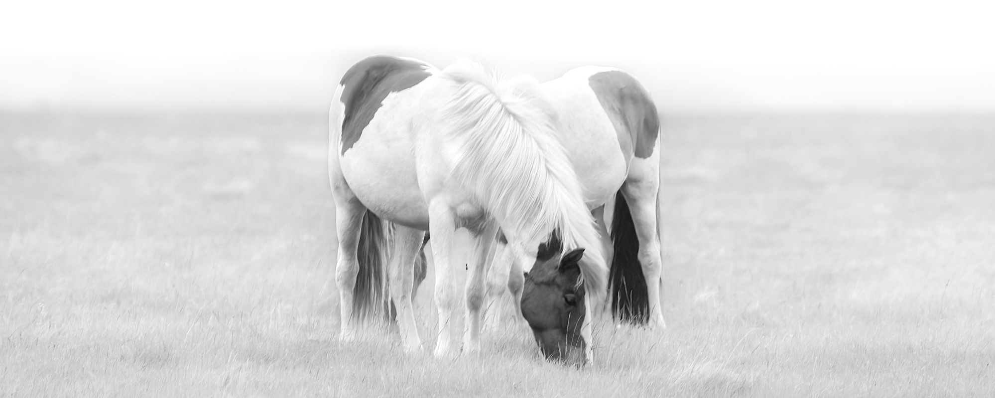 64 Photo Workshop Adventures Michael Chinnici Iceland 18 Pano
