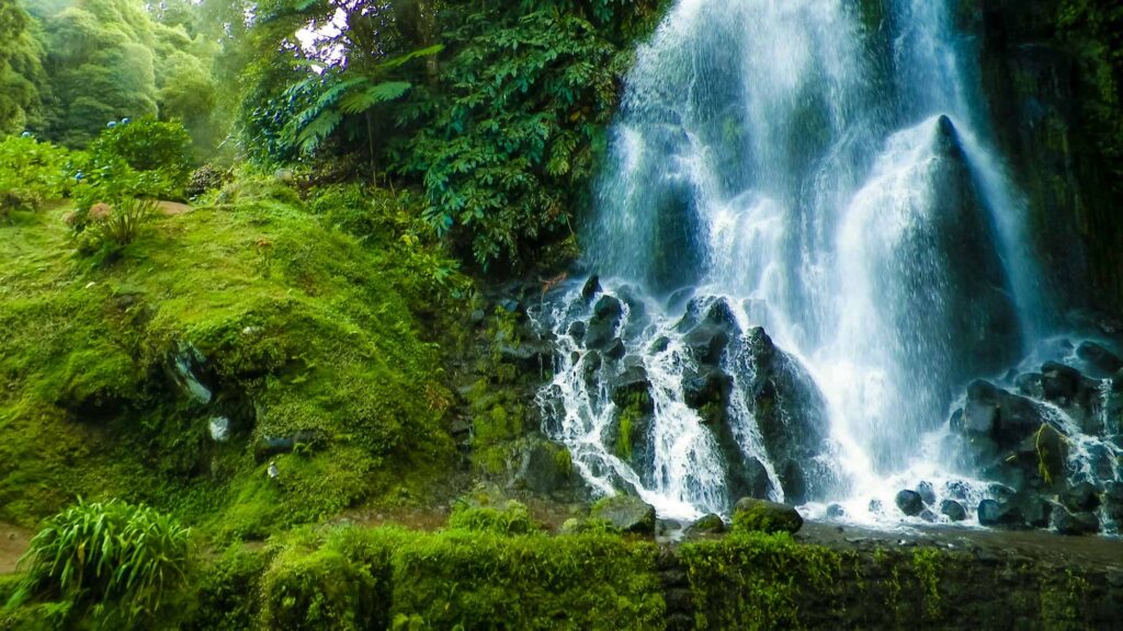 Waterfall At Botanical Garden Of Ribeira Do Guilherme, Sao Migue Waterfall At Botanical Garden Of Ribeira Do Guilherme, Sao Migue