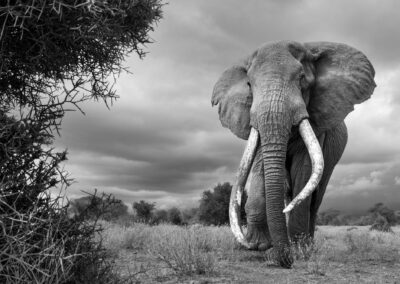 04 Photo Workshop Adventures Johan Siggesson 2