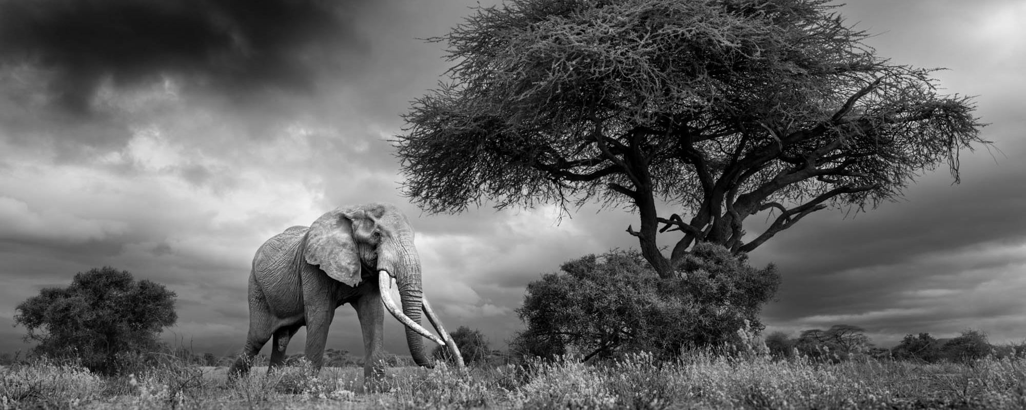 05 Photo Workshop Adventures Johan Siggesson 2 Pano