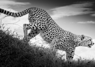 06 Photo Workshop Adventures Johan Siggesson