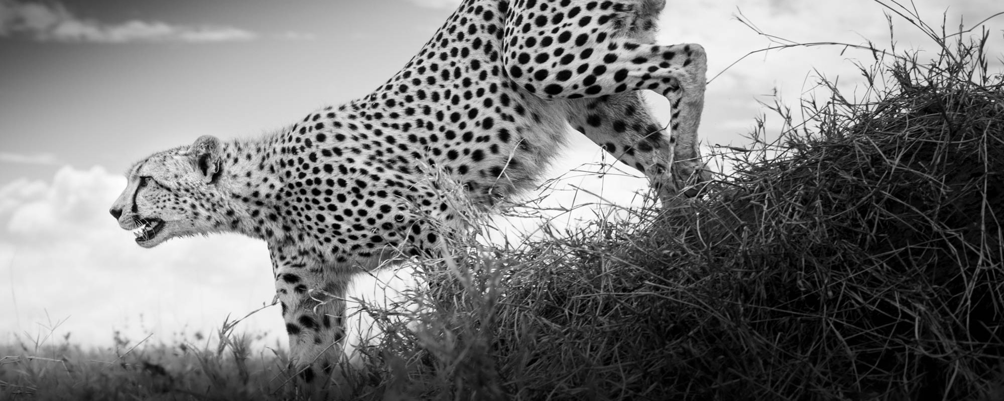 06 Photo Workshop Adventures Johan Siggesson Pano