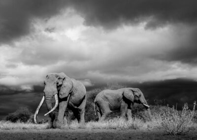 07 Photo Workshop Adventures Johan Siggesson 2