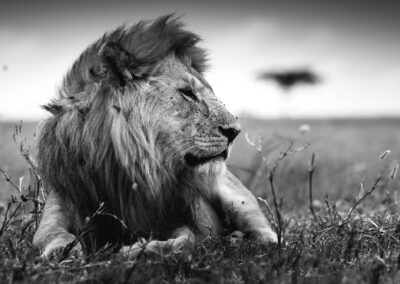 07 Photo Workshop Adventures Johan Siggesson