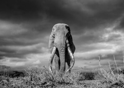 08 Photo Workshop Adventures Johan Siggesson 2