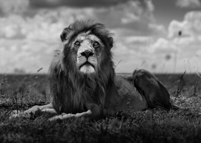 08 Photo Workshop Adventures Johan Siggesson