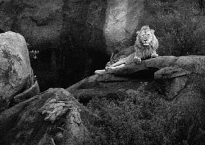 11 Photo Workshop Adventures Johan Siggesson