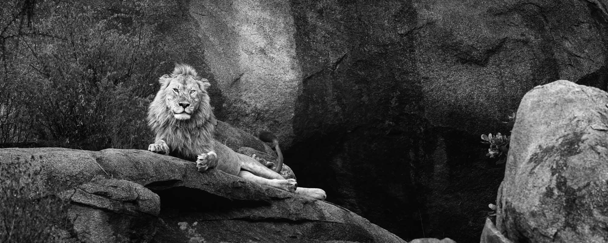 11 Photo Workshop Adventures Johan Siggesson Pano