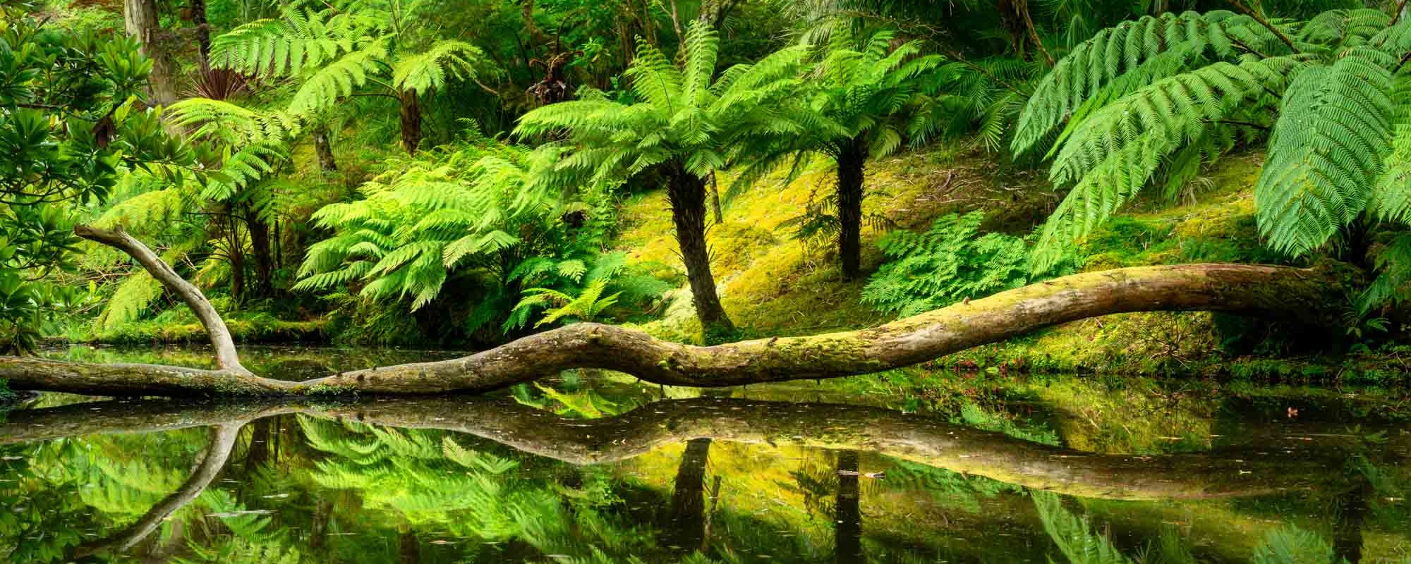 12 Photo Workshop Adventures Bruno Azera Azores Pano