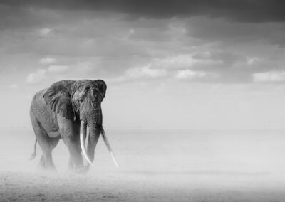 12 Photo Workshop Adventures Johan Siggesson 2