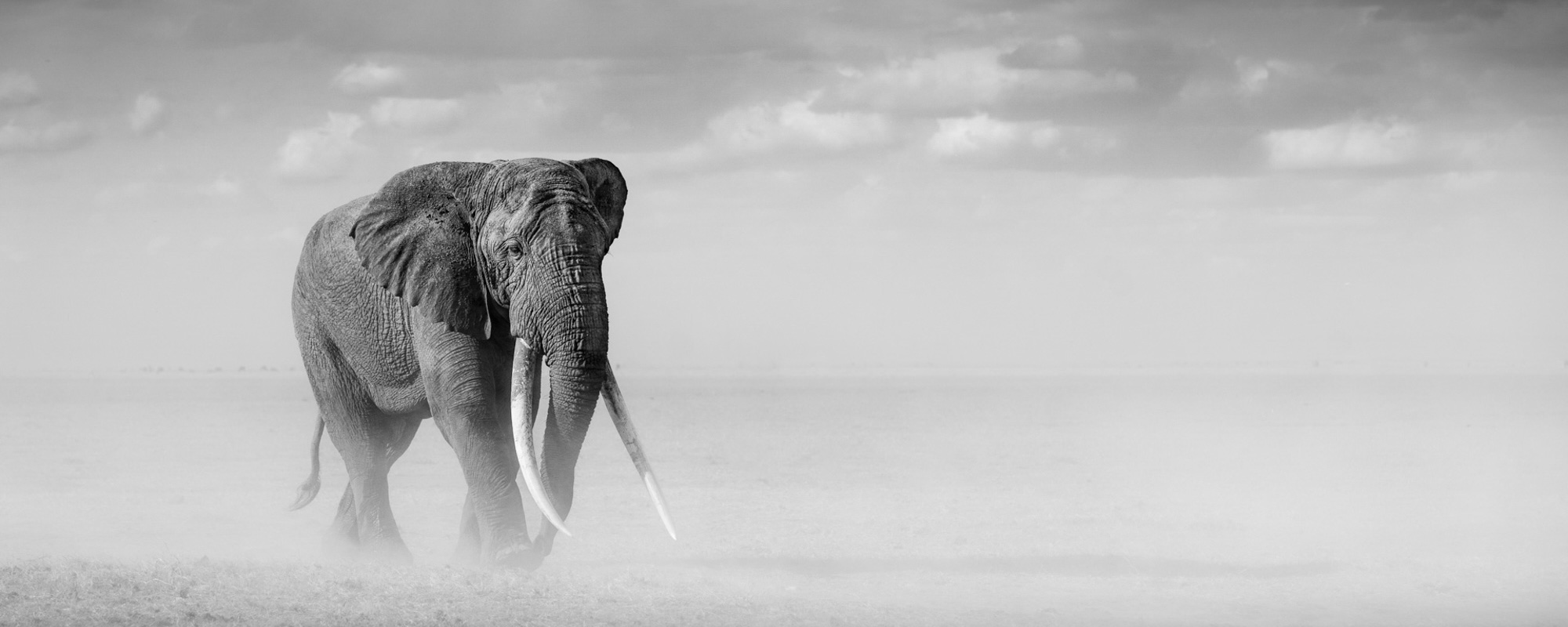 12 Photo Workshop Adventures Johan Siggesson 2 Pano