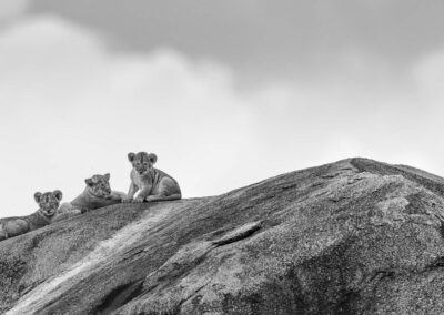 14 Photo Workshop Adventures Johan Siggesson