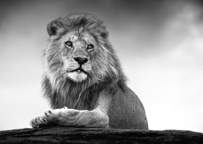 16 Photo Workshop Adventures Johan Siggesson