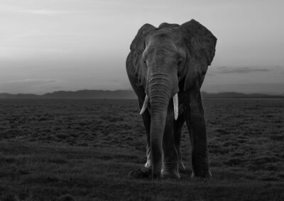 17 Photo Workshop Adventures Johan Siggesson 2