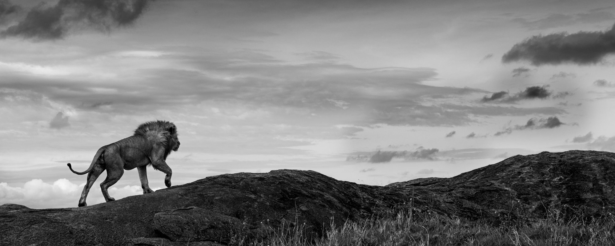 Toward The Throne - John Siggesson - Photo Workshop Adventures