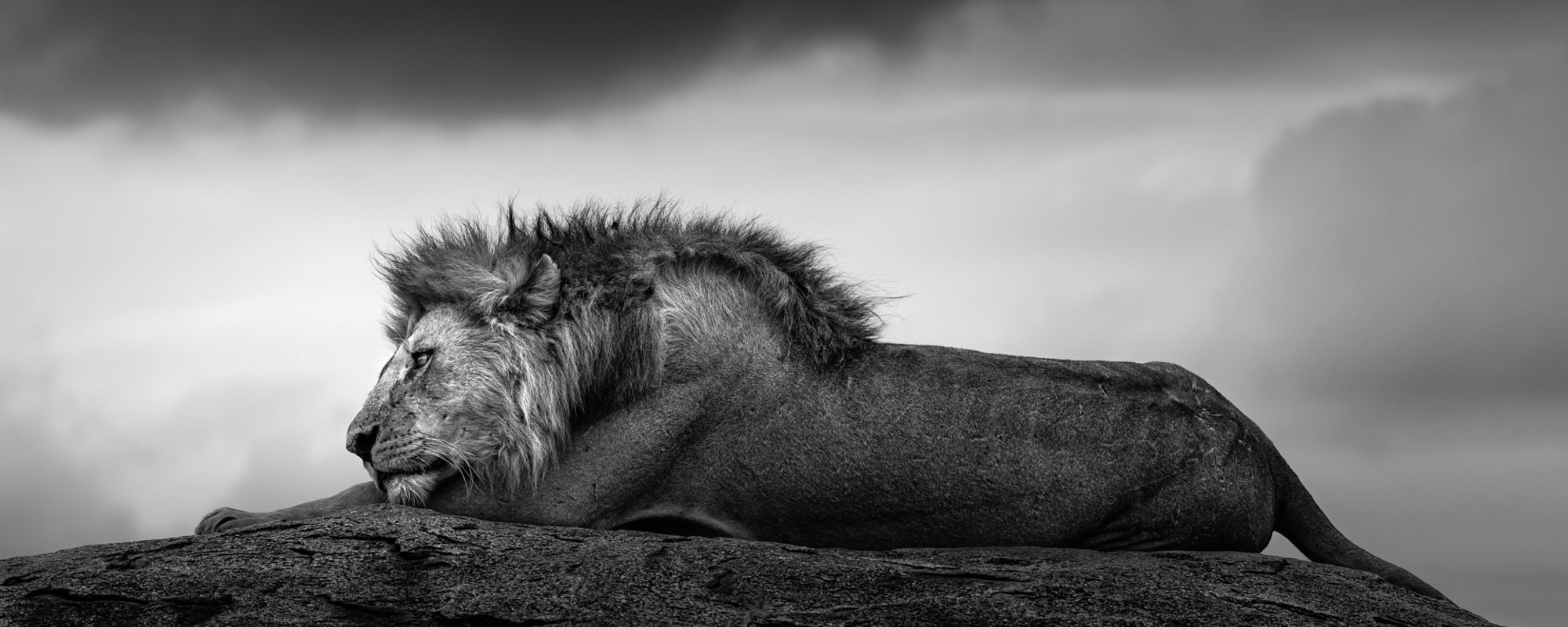 The Dreamer - John Siggesson - Photo Workshop Adventures