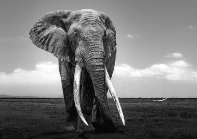 20 Photo Workshop Adventures Johan Siggesson 2