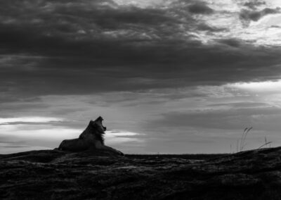 20 Photo Workshop Adventures Johan Siggesson