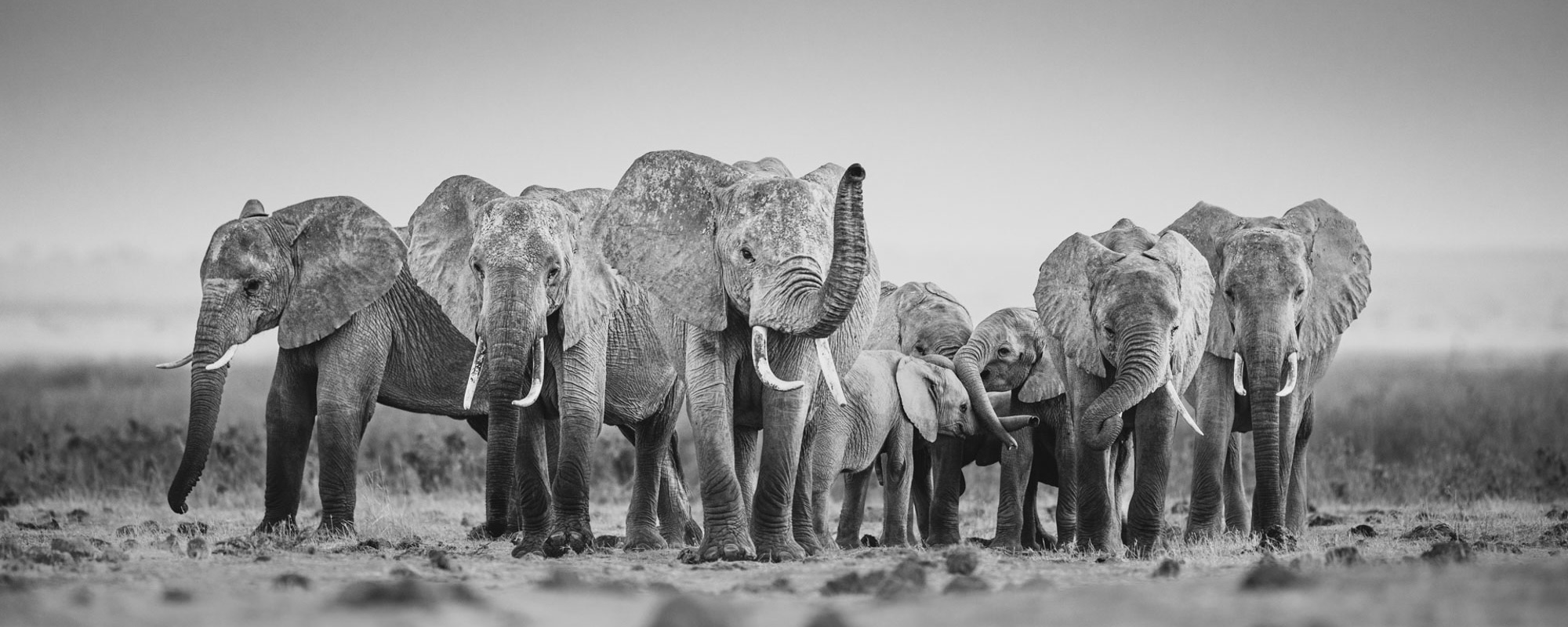 Whispers Of The Wind - Johan Siggesson - Photo Workshop Adventures