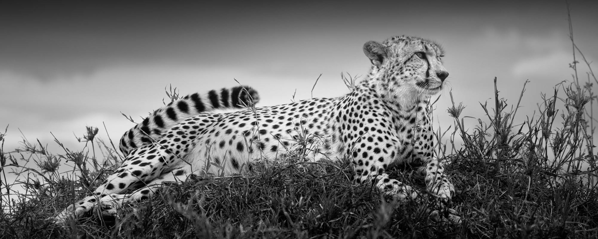 22 Photo Workshop Adventures Johan Siggesson Pano
