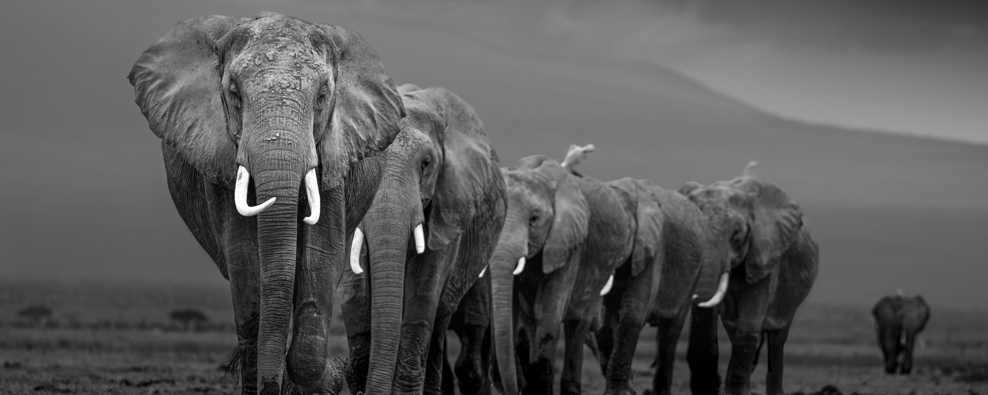 At The Foot Of The Mountain - Johan Siggesson - Photo Workshop Adventures
