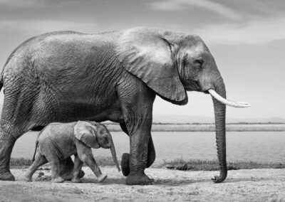 26 Photo Workshop Adventures Johan Siggesson 2