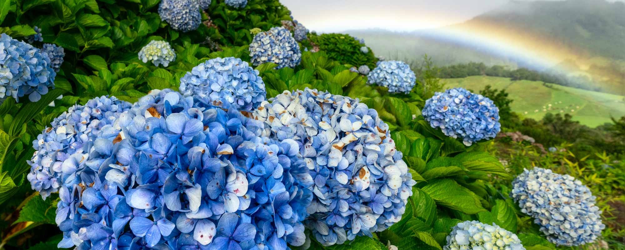 28 Photo Workshop Adventures Bruno Azera Azores Pano