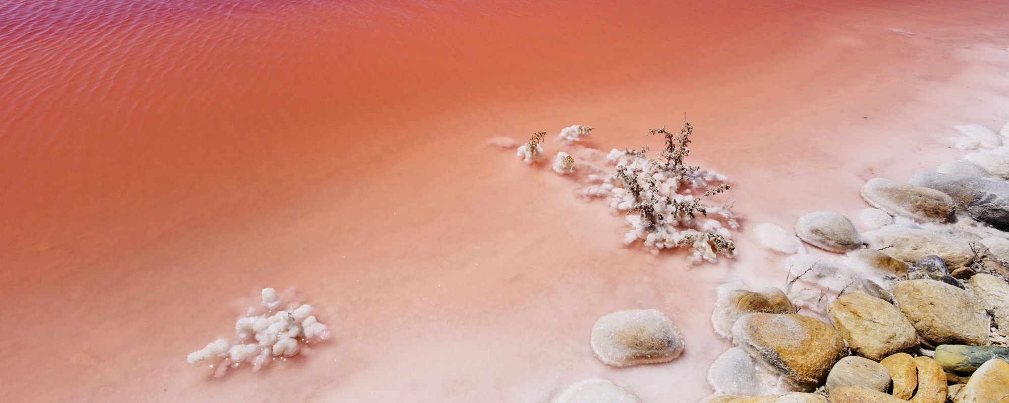 Salina Camargue Francia